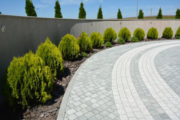 Best Custom Driveway Pavers  in Portola Valley, CA